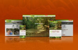 Swamp Tours website Multiple Devices