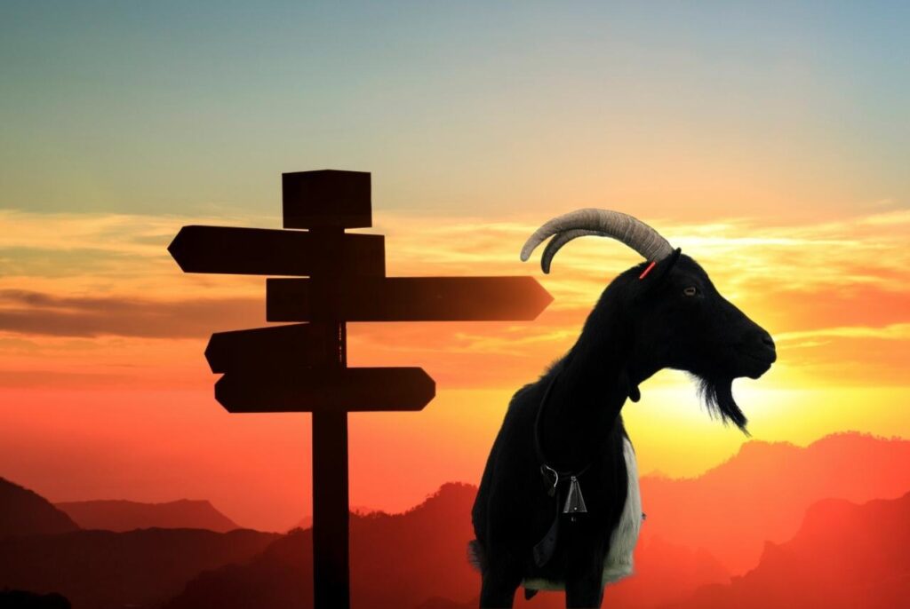 goat travel expedia