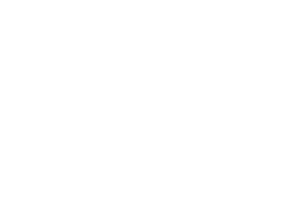 shore thing tiki cruises