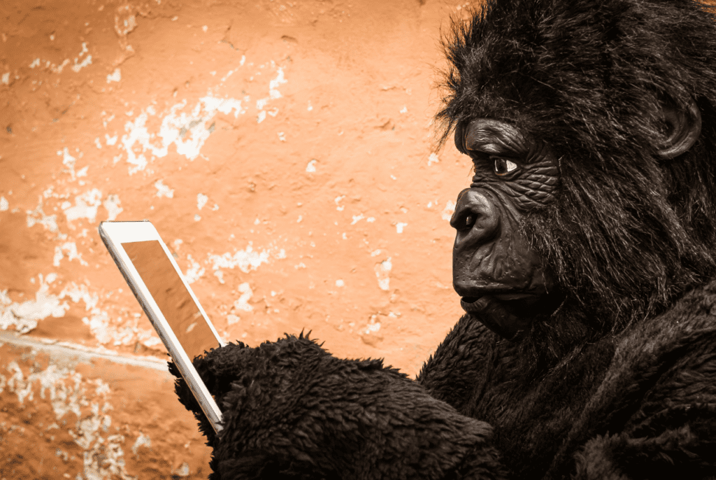 gorilla holding a smartphone