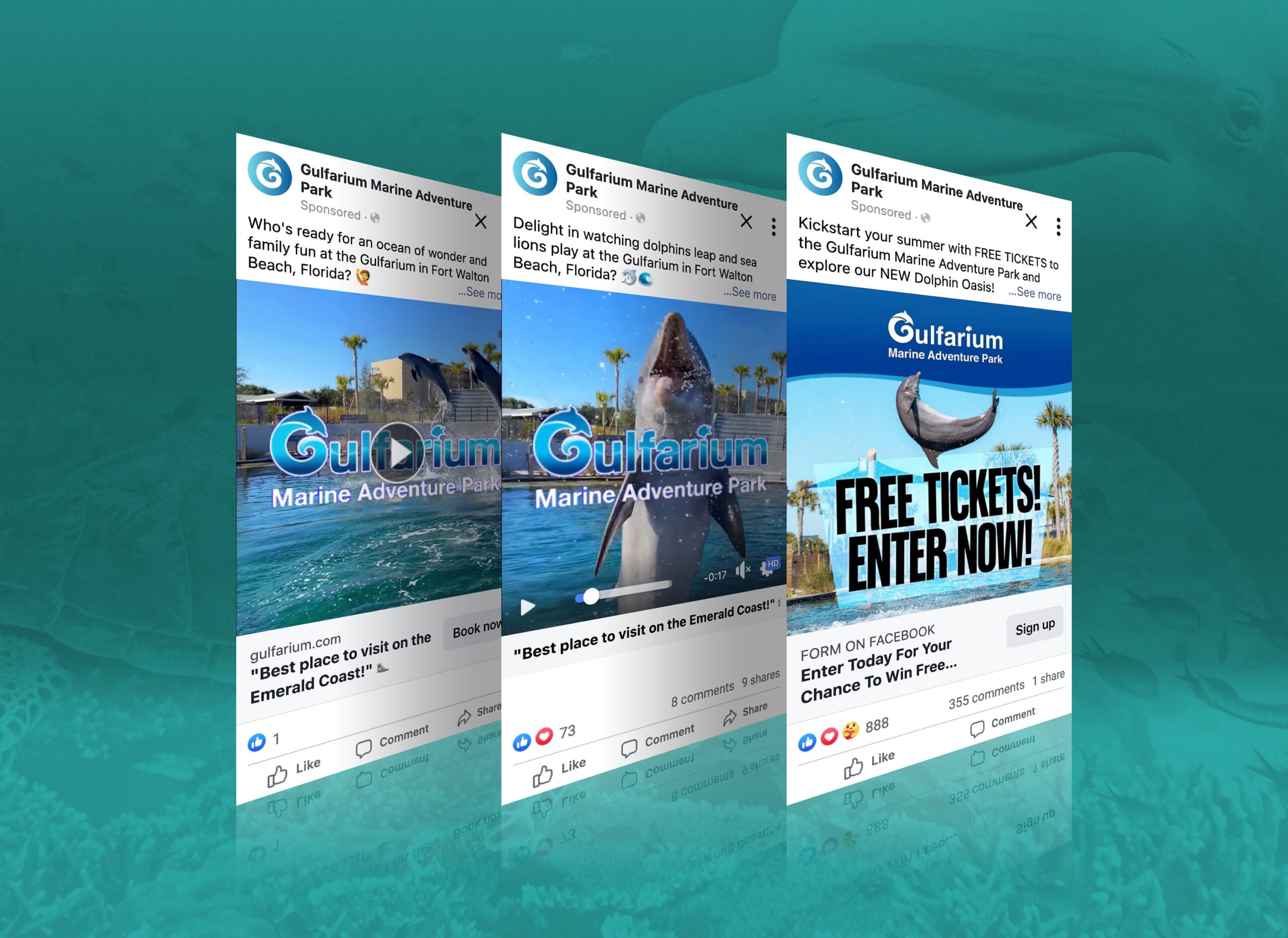 gulfarium marketing social post