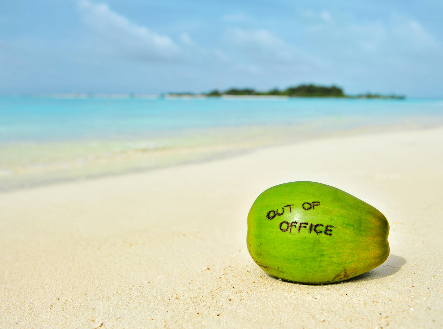 coconut on beach with "out of office" written on it